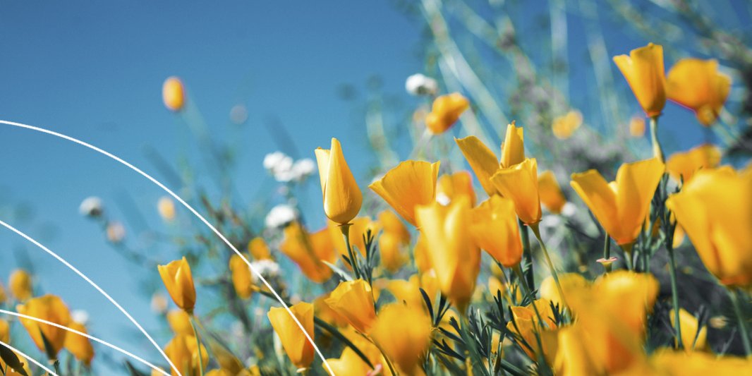 Get booked up and trained up for Spring 2024!
Two of our popular courses - 'Responding to Challenging Behaviour' &amp; 'Journeying and Leading through Change and Transition' are running in February and March.
Book your place now!
Check out all the courses at: bit.ly/PfHtraining24