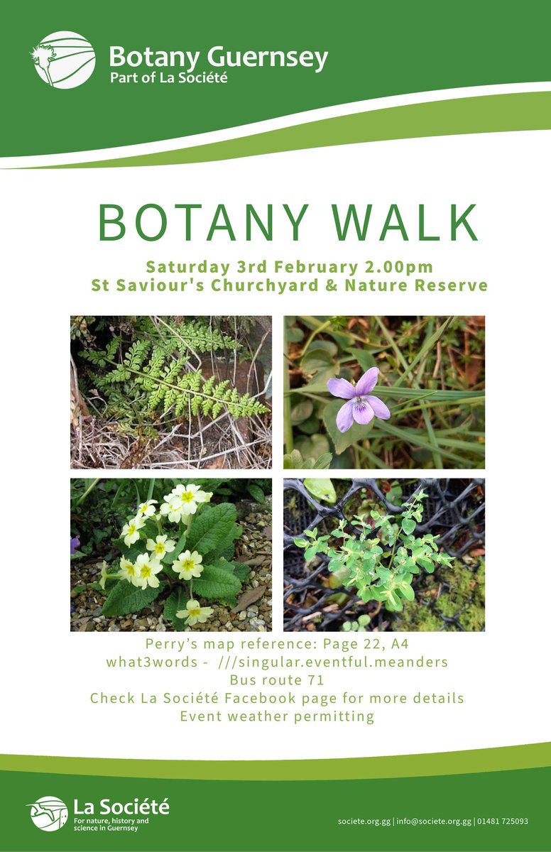 Join us for a Botany Walk, meeting at St Saviours Cemetery. Saturday 3rd February, 2pm - Open to all societe.org.gg/wp/event/botan…