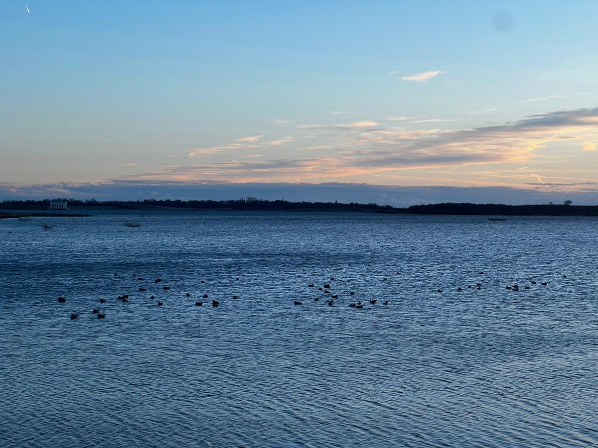 From 40 year studies on the #Essex Colne estuary, understanding seagrass, saltmarsh, mudflat, oyster beds and coastal seas to the #wildlife that uses and connects them - @EssexLifeSci #research & #education supports #WorldWetlandsDay2024