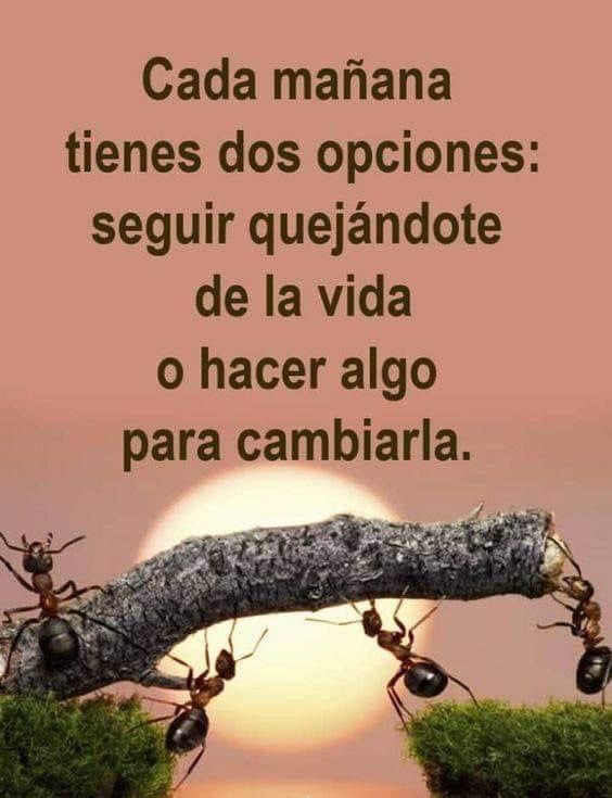 En #LaPaz seguimos adelante en #EquipoADMM pensando en tod@s.
