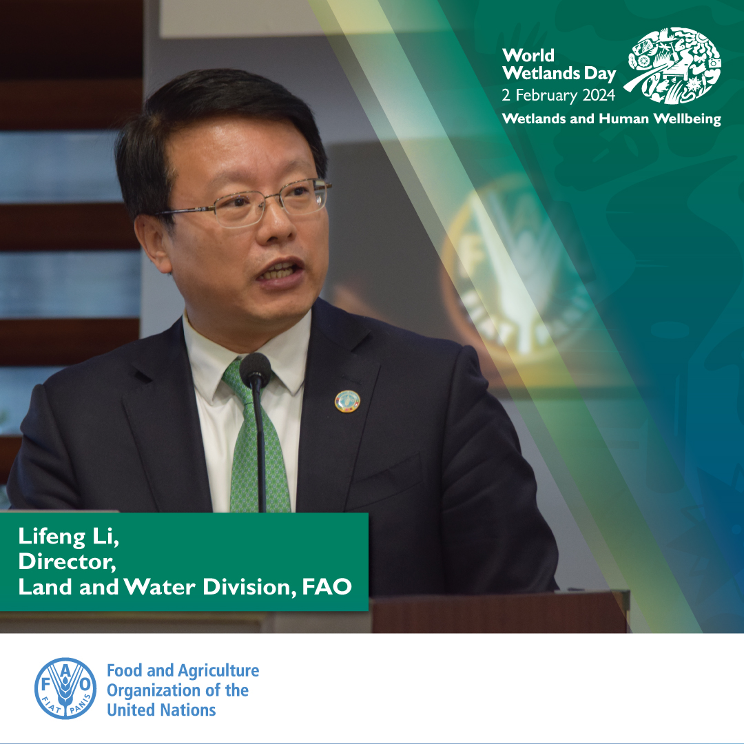 'Our wetlands provide vital goods and ecosystem services, sustain lives and wellbeing. They are crucial in achieving the 2030 Agenda, Rio Convention targets, food, and water security' @FAOLandWater Director @LI_Lifeng_FAO @ #WorldWetlandsDay Celebration