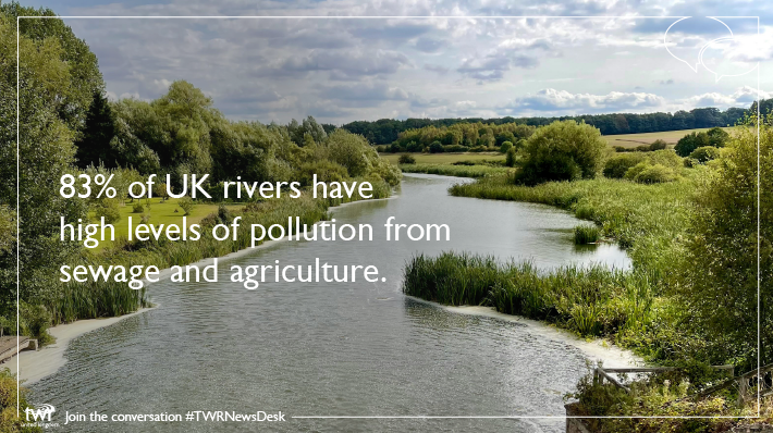 TWRuk's tweet photo. Up next #TWRNewsDesk

River quality across England and Wales continues to decline as a result of water pollution.

@AndyLester01 from @ARochaUK shares more about the need for greater accountability.

Tune in:
https://t.co/ojyiG9fU20 https://t.co/JB0RP8UIhX