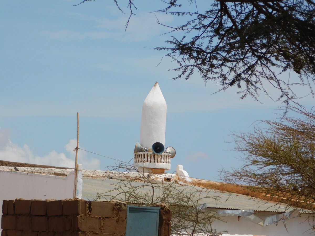 aiawaleh's tweet image. A Vachellia (Acacia) tortilis and a minaret  in the Ethio-Somaliland border town of Ina-guuxa.
​Somali: Qudhac
#trees #NaturePhotography #Minarets #Mosques #VillageLife