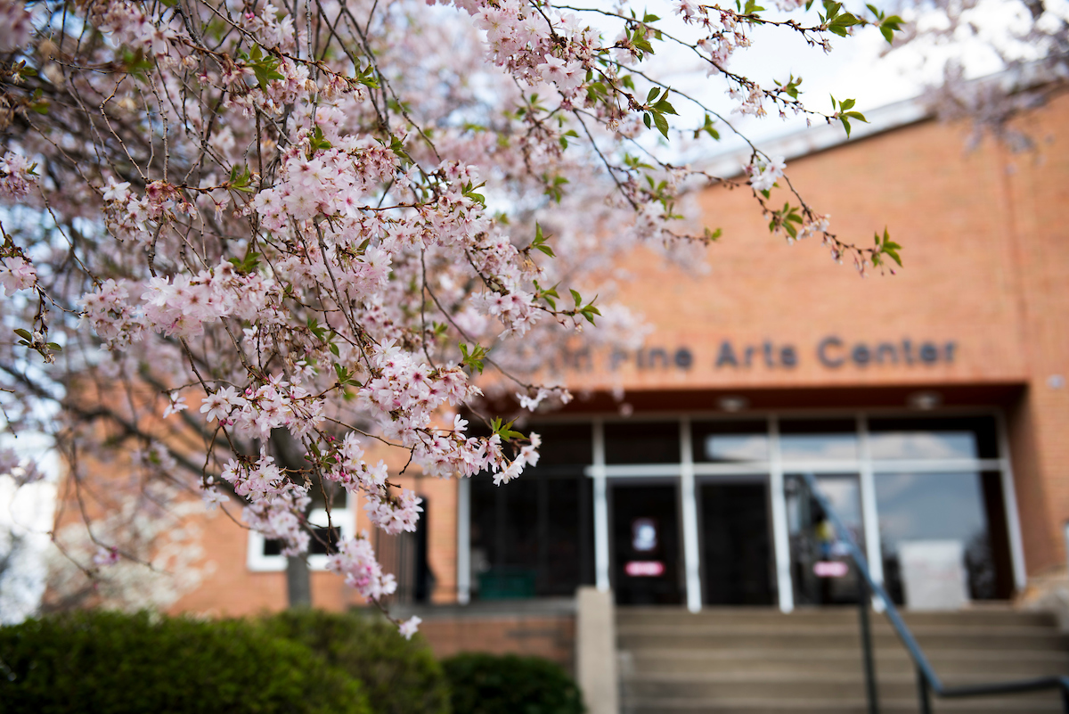wjcollege's tweet photo. Spring is on the way! 

#GroundHogDay #SpringIsComing #SpringTime https://t.co/gDBT194VhW