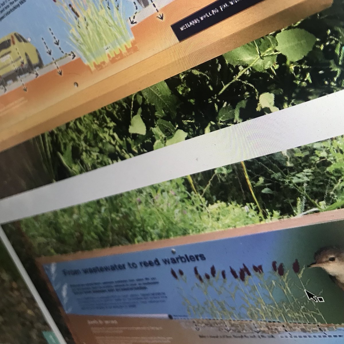 VisitMôr tweet media