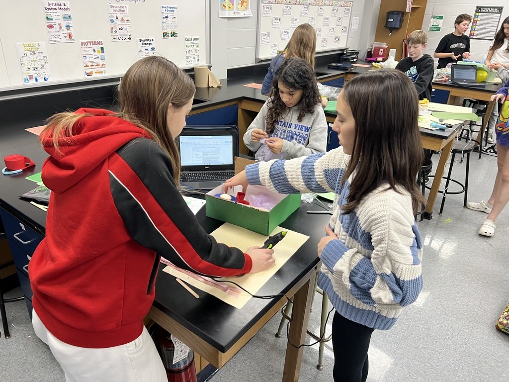 Mrs. Clark's 7th grade Scientists are building 3D models to demonstrate their understanding of the structure and function of eukaryotic cells. #lionspride #mountainview #mendhamborosd