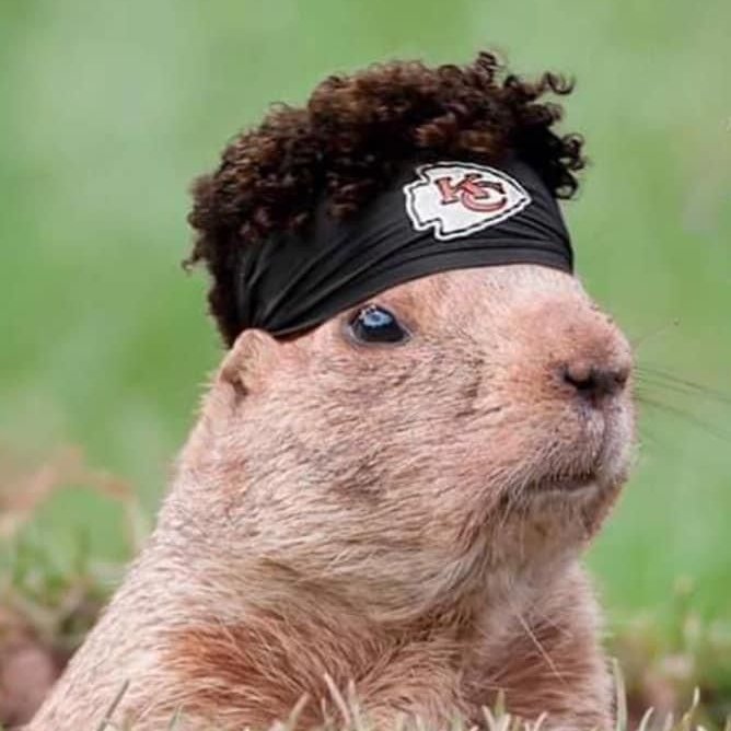 MegaKCbuilds's tweet photo. Happy Groundhog's day! The results are in... https://t.co/ZabVA2e0R7