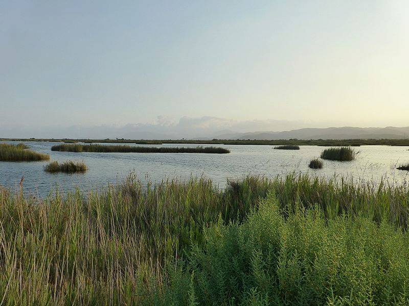 Proyecta Memoria tweet media