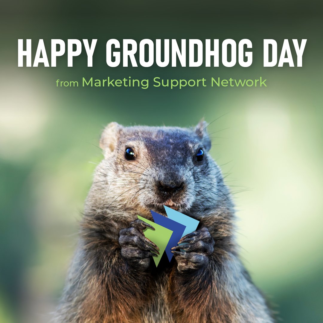 msn_connect's tweet photo. Happy Groundhog Day from the MSN team! Let's see if we are in for an early spring. 
#groundhog #groundhogday #pittsburgh #marketing #graphicdesign https://t.co/qBhpArG9ia