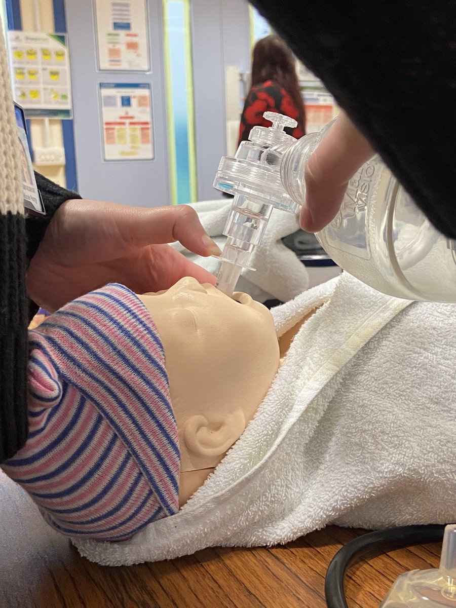 A Sierra 🌍 tweet media