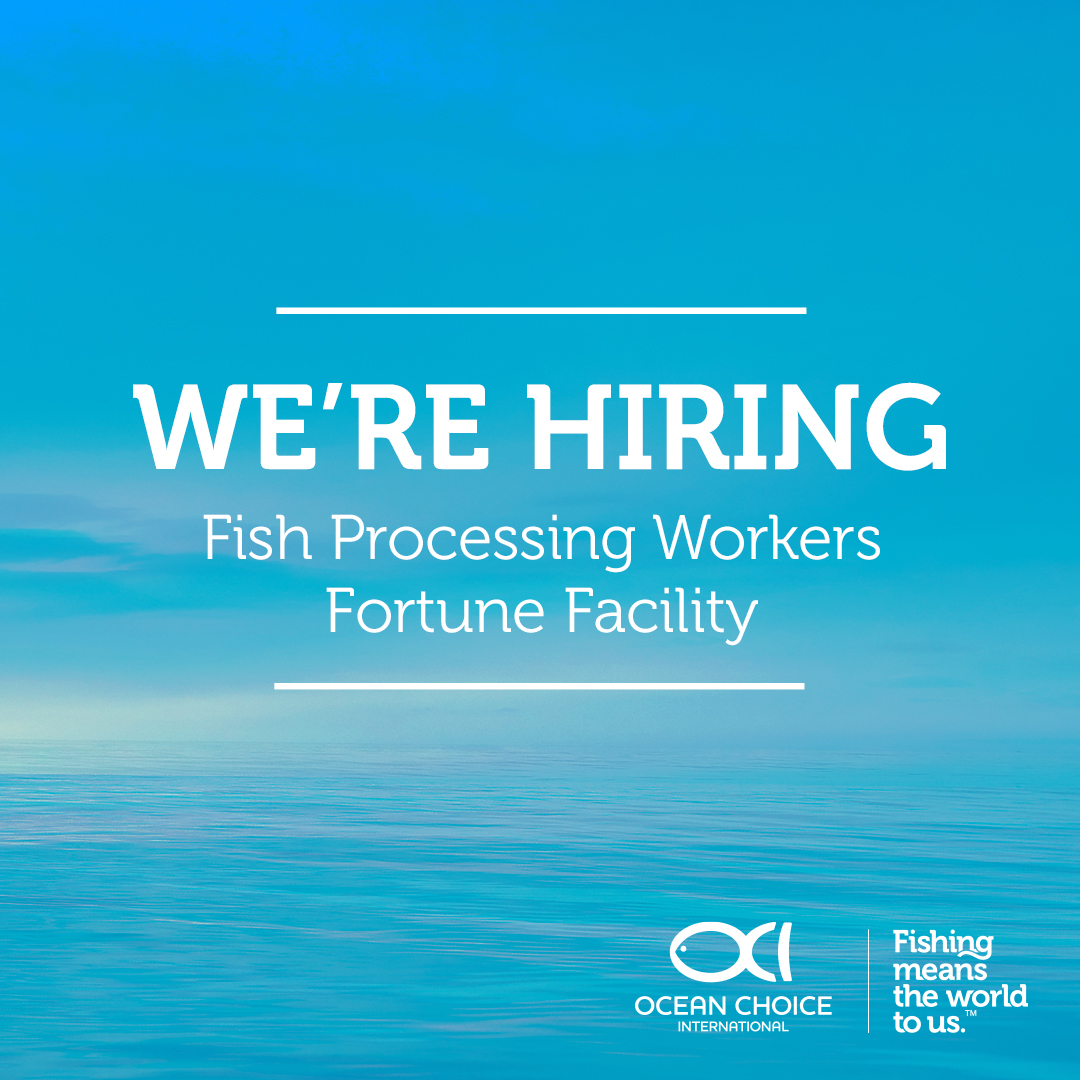 We have multiple opportunities for Fish Processing Workers at our Fortune facility! Workers will be responsible for sorting, cleaning, and packaging seafood, and for safely operating equipment. On the job training will be provided! To apply, just visit: oceanchoice.com/careers/
