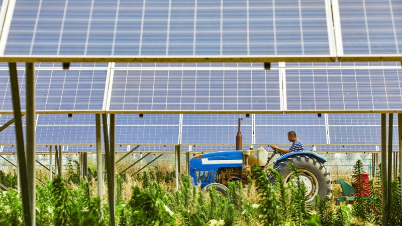 carlenckell's tweet photo. Qu'est-ce qu'une installation agrivoltaïque ? 
Le jugement du tribunal administratif de Dijon du 26 janvier 2024 apporte une première réponse.
L'analyse d'Altes avocats ici :
https://t.co/809OAGn1dw https://t.co/WYAMnrnjqt