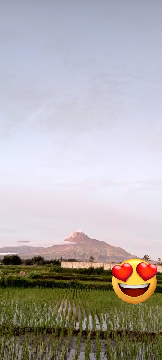 mywaringin's tweet photo. @merapi_uncover Kidul Obelix Village https://t.co/mGrYs7odDU