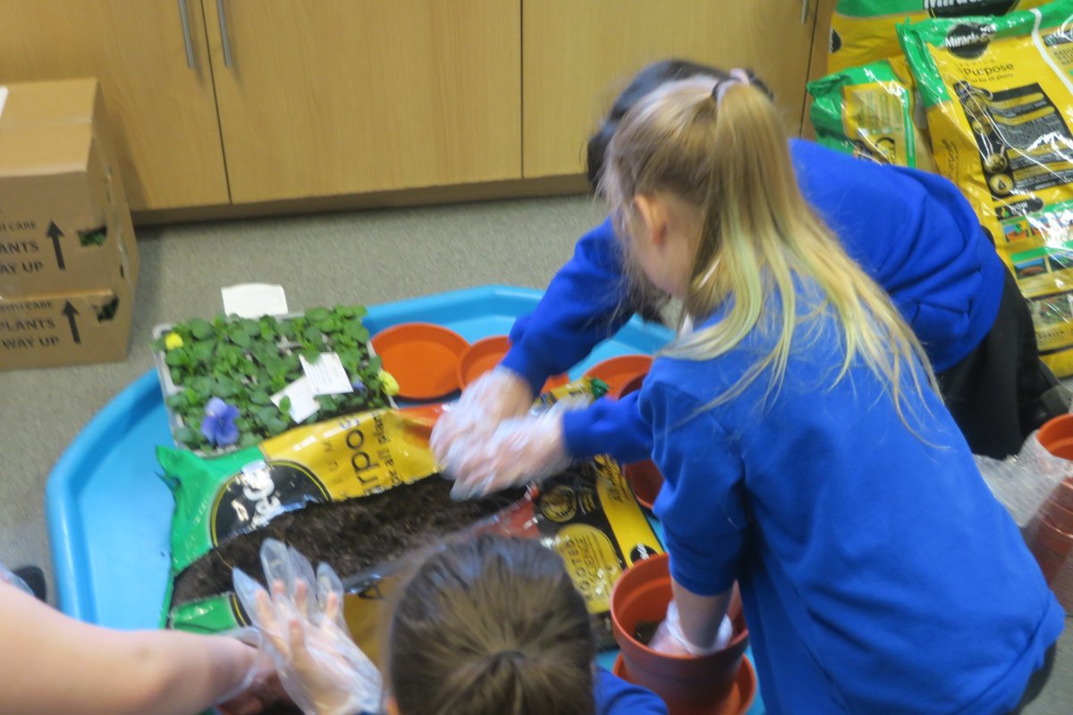 The Venturists tweet media