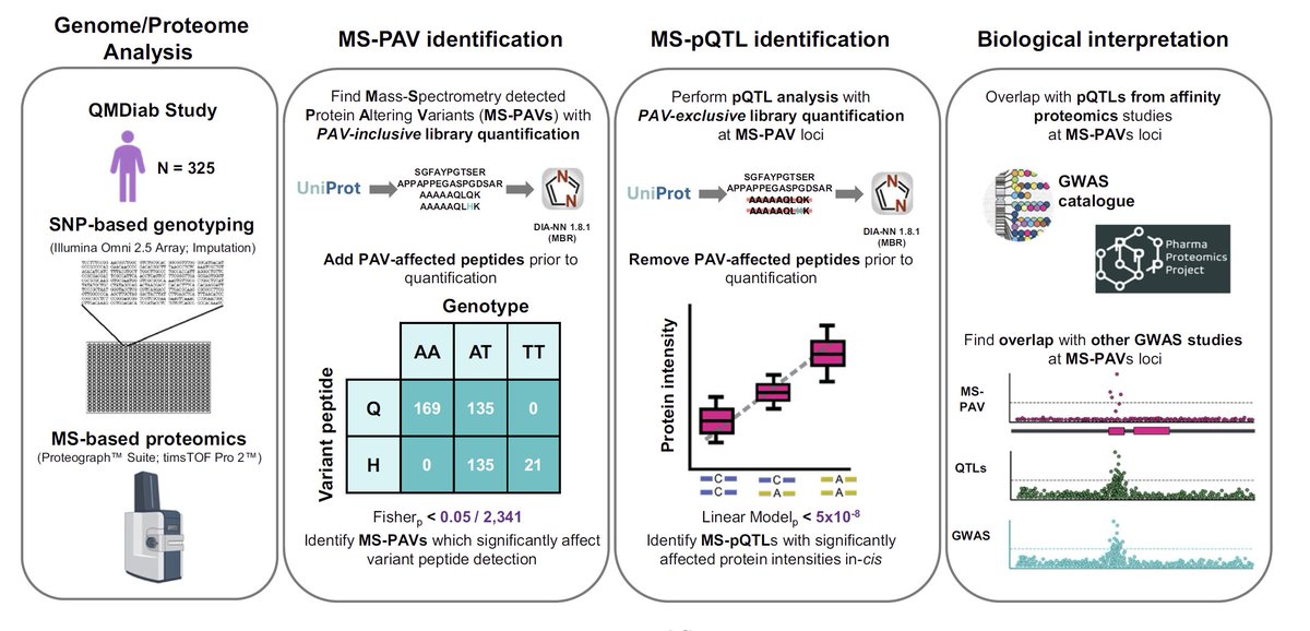 Our latest #pQTL study using the <a href="/seer_bio/">Seer</a> #proteomics platform just went online in <a href="/NatureComms/">Nature Communications</a> - we share the full MS data on ebi.ac.uk/pride/archive/…

Read our paper here:
link.springer.com/article/10.103…