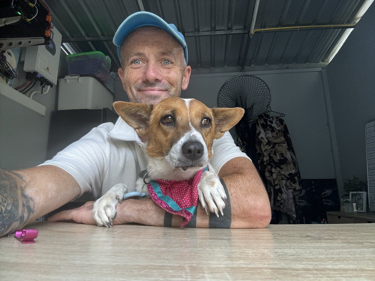 Eve is up for adoption on the website now… ✈️ Can travel anywhere 🐶 Very gentle and loving dog 📆 Approx 2-4 years old 🔥 The burns have left a small physical mark but it hasn’t stopped her love for humans. Her details here happydoggo.com/adoptable-dogs