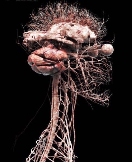 Beff — e/amzn tweet media