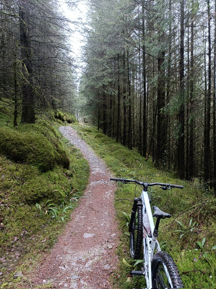tokesurf76's tweet image. Hugely enjoyable ride round #Byrgwm #Brechfa today...apart from having to slow down for eeb riders on the 🔵 descent.🤭 Oh the irony...  😉 @Absolutemtb1