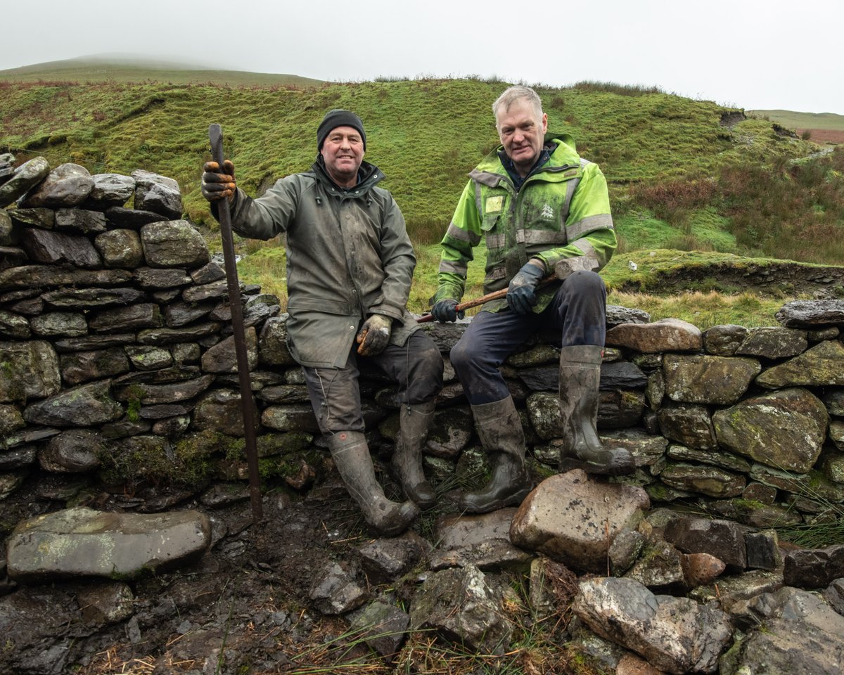 We've restored a 300 year old sheep pen and washfold on Brant Fell #yorkshiredales  - Steven Allen and Trevor Stamper have rebuilt the historic pen which will now be used to separate, treat and gather sheep. Read the full story here > bit.ly/3UowIhp
#OurUplandCommons