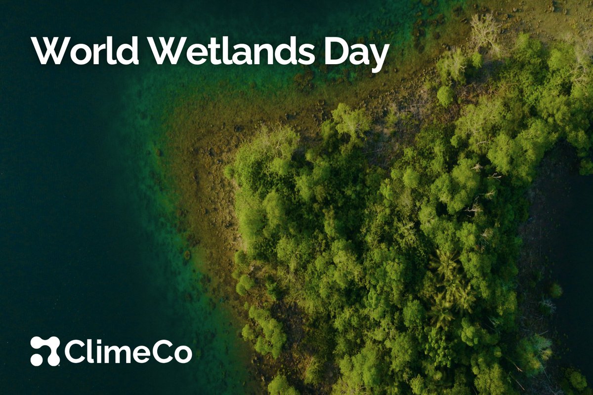 This year's #WorldWetlandsDay theme is 'Wetlands & human well-being,' highlighting their role in human health & prosperity of communities. We proudly support wetlands projects focused on mangrove reforestation in Indonesia through our project partners, #YAKOPI & @PurProjet.