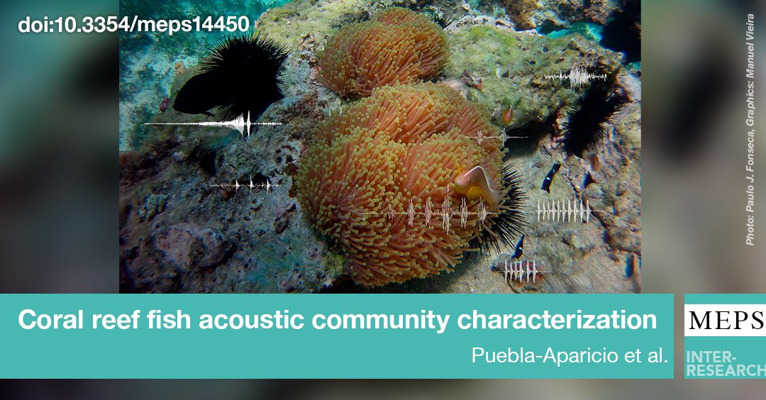 MEPS_IR's tweet photo. The cacophony of #FishSounds has been characterized for the first time in Mozambican #CoralReefs. This new research recognized 47 putative sound types & may pave the way to the use of acoustics to assess changes in reef fish communities & biodiversity
https://t.co/lLZwoELvKp https://t.co/DC6KoowhCo