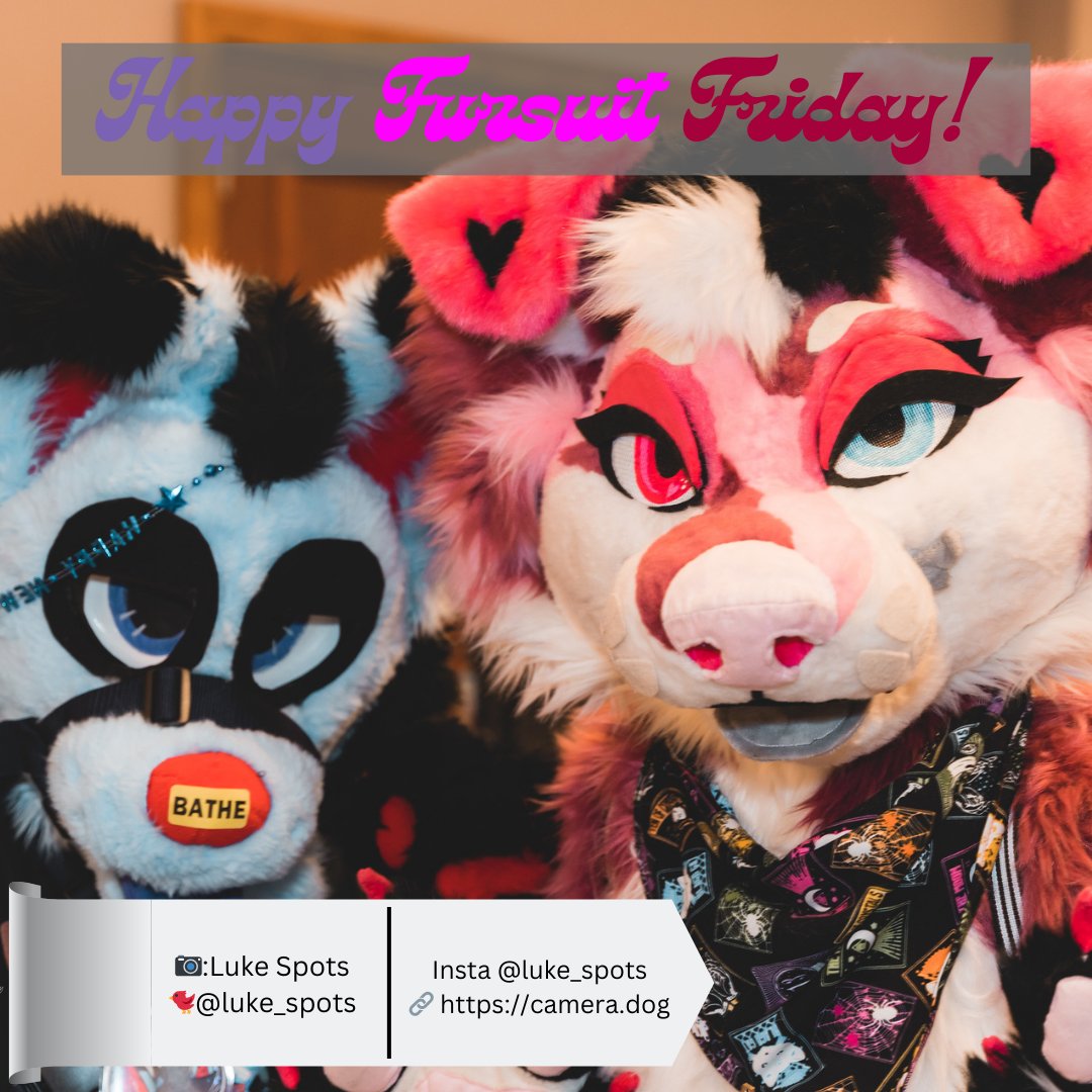 PDFC 2026: The Search For Cryptids tweet media