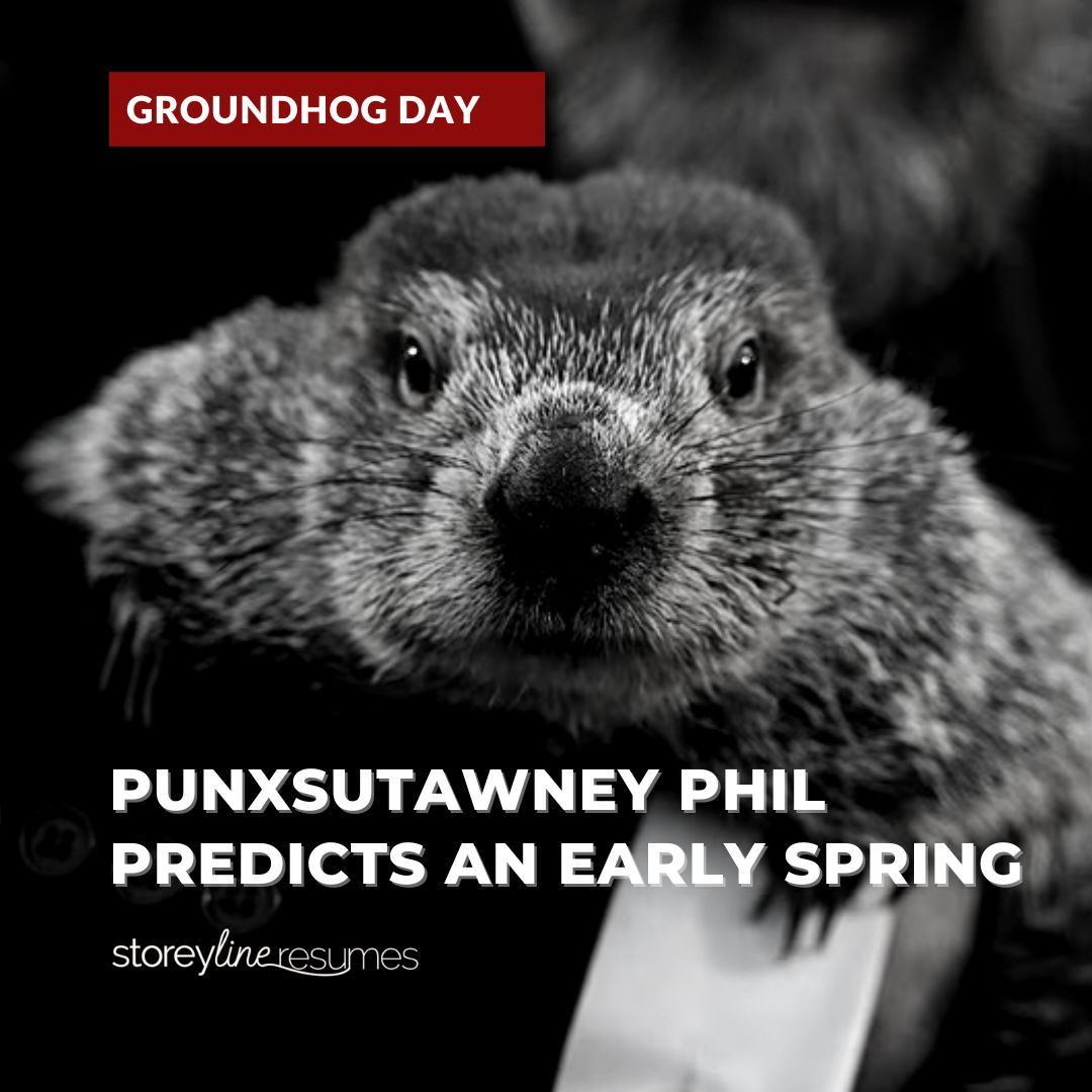 Robynn Storey tweet media