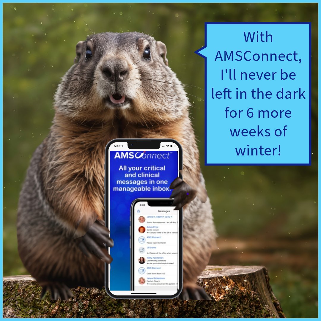 amsmsg's tweet photo. πΒ Don't leave your predictions to chance this Groundhog Day!Β πΎΒ With AMSConnect, reliability is guaranteed, rain or shine. No need to wait for a shadow to know your messages will always get through!Β ππΒ #GroundhogDay #ReliableMessaging #AMSConnect https://t.co/BjfuQLI29C