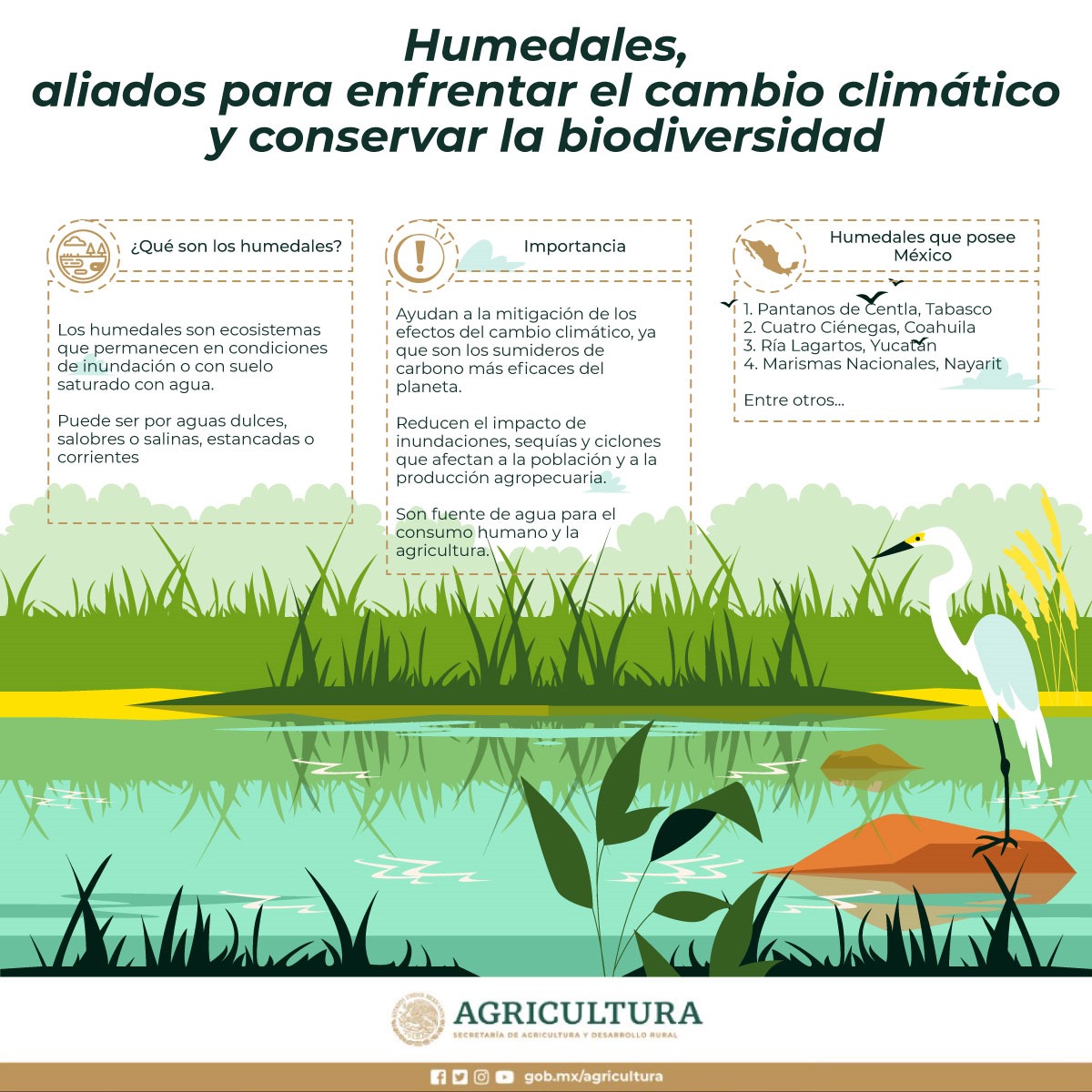 #DíaMundialDeLosHumedales #México tiene la fortuna de contar con este tipo de ecosistemas. Impulsemos la recuperación y cuidado de los recursos naturales.