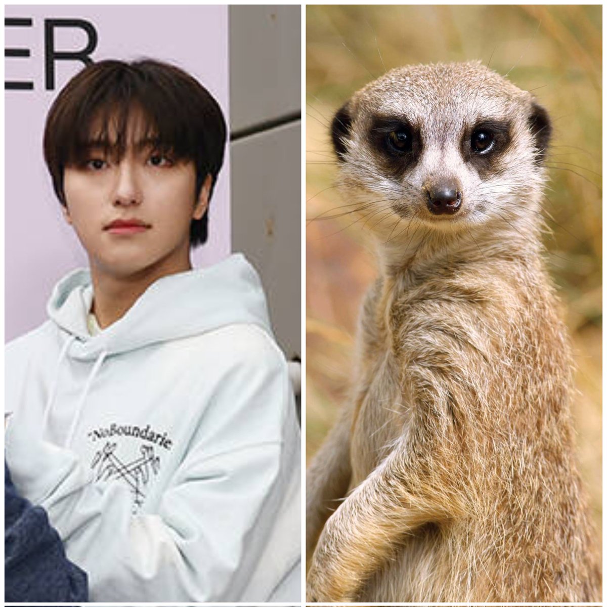 jjongjelly's tweet photo. I see no difference https://t.co/z2sLCXCzuY