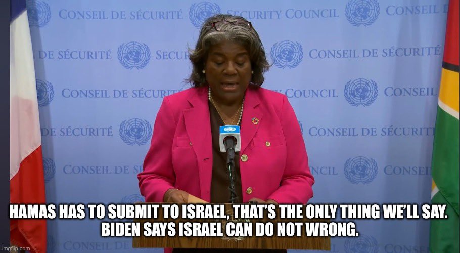 U.S. ambassador to the JN…