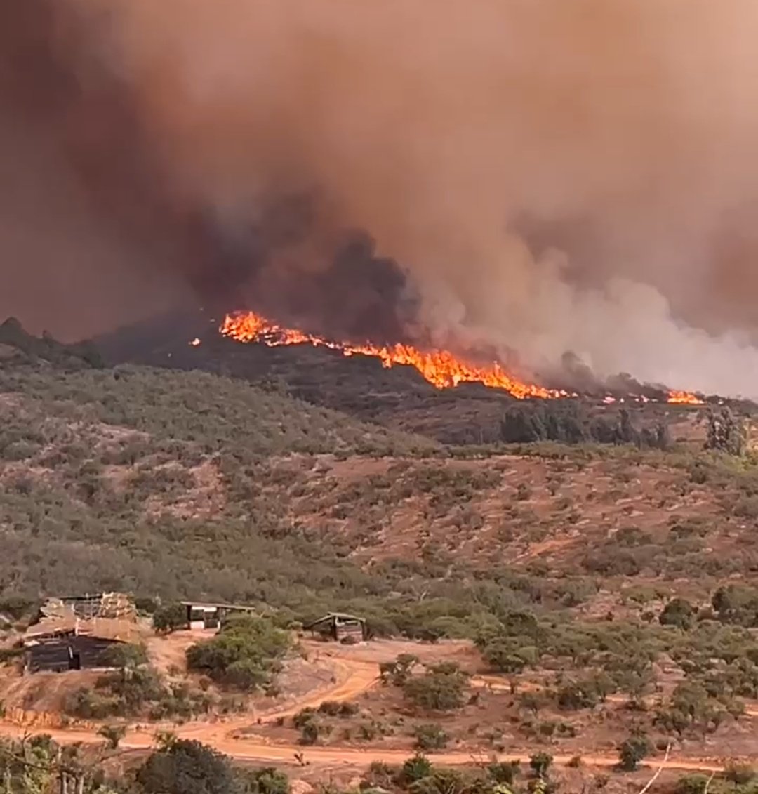 INF0SCHILE's tweet photo. ⚠️#Atención Por 🔥#I.F Se Solicita #Evacuar Los Sectores de Quebrada Escobares y Fundo el Rincón. #VillaAlemana, Región de Valparaíso. https://t.co/ddvWBLUQoc