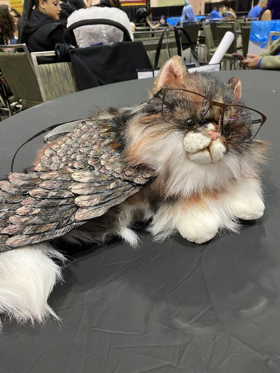 Snxrkindustries's tweet image. The star of my cosplay today, Tara #tressym #BG3 #GaleDekarios #Megacon #megaconorlando #megacon2024