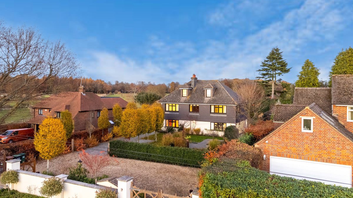 Damion Merry tweet media