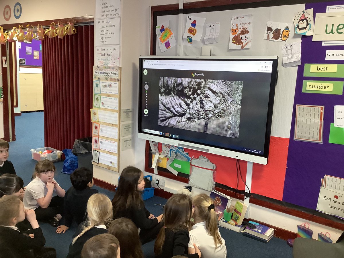 KBarr_16's tweet image. P3 used the #explorify website this week to explore the ‘zoom in, zoom out’ pictures. We then created our own pictures using the iPad camera and keynote apps @ConnectedFalk @MrsCrerar