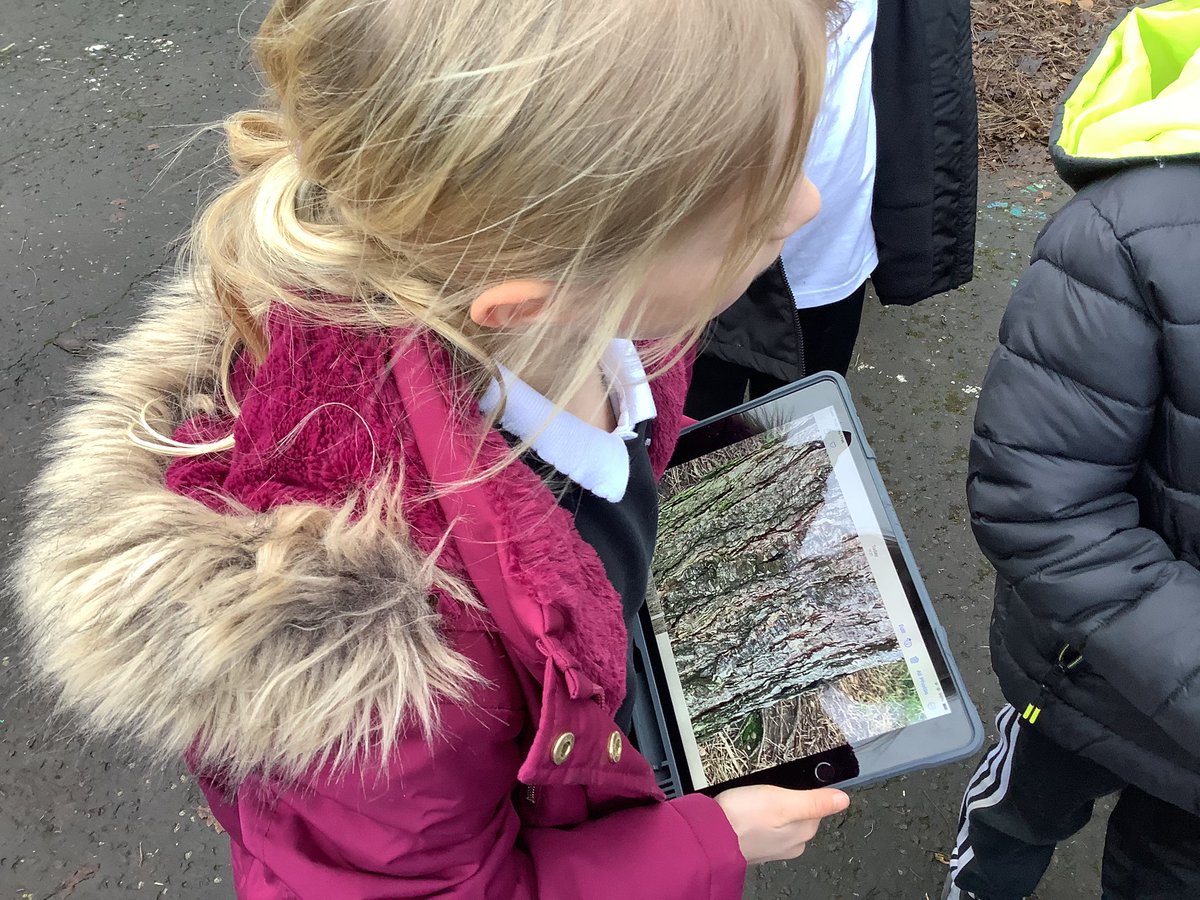 KBarr_16's tweet image. P3 used the #explorify website this week to explore the ‘zoom in, zoom out’ pictures. We then created our own pictures using the iPad camera and keynote apps @ConnectedFalk @MrsCrerar