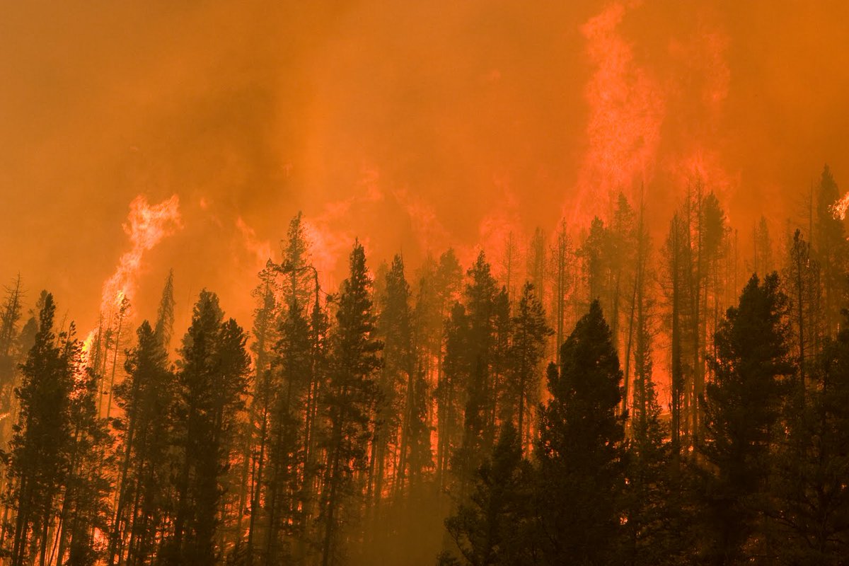 usfs_rmrs's tweet image. "As #fire regimes change and #wildfire disasters become more frequent, the term #megafire is increasingly used to describe impactful wildfires.... This has resulted in a highly ambiguous concept." Read more here on #FireFriday 👉 ow.ly/RG9x50Qx1hh