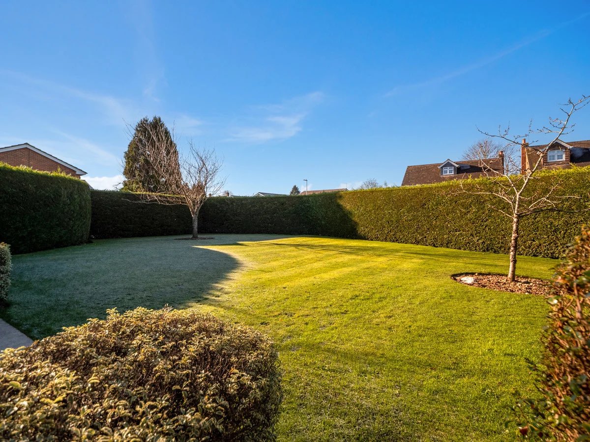 Damion Merry tweet media