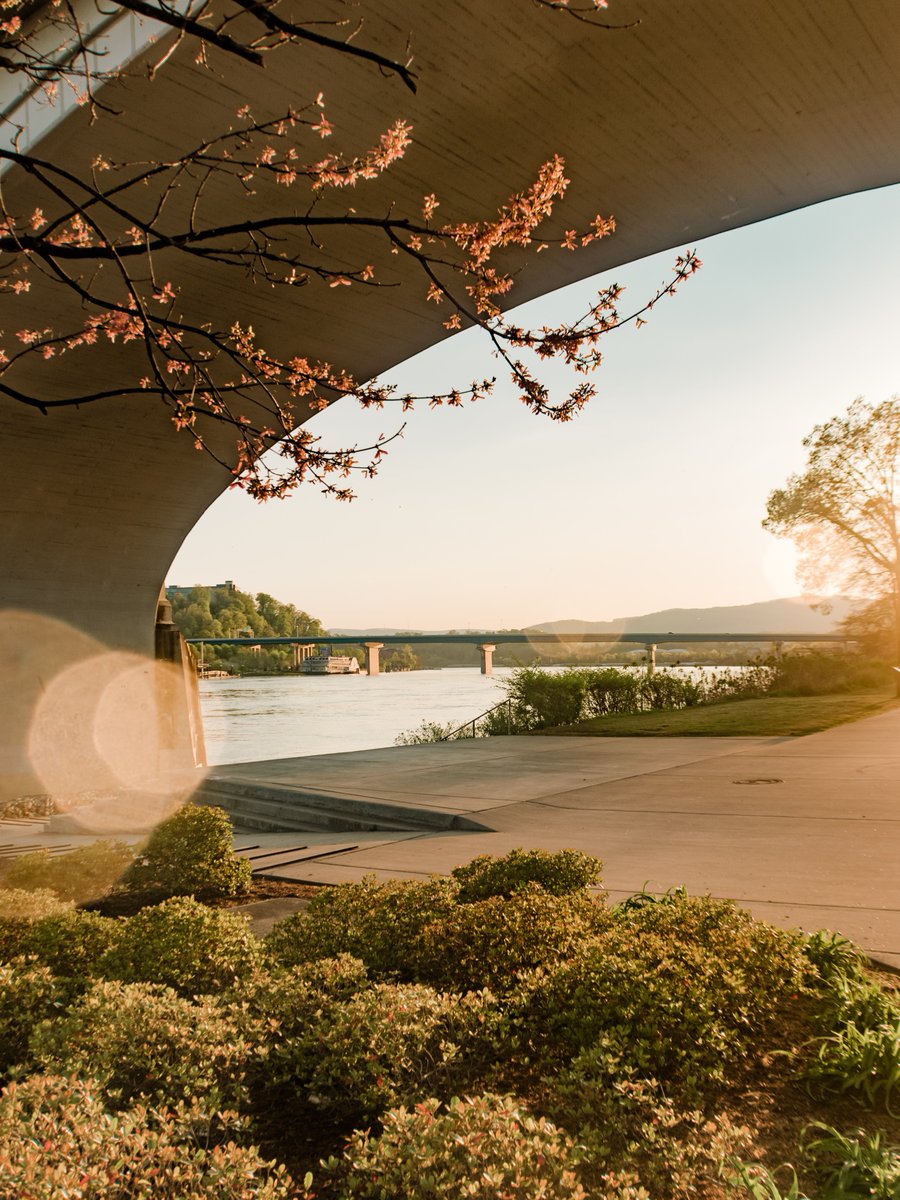 Let's spring into action because Punxsutawney Phil called for an early spring 🌱 🌸 ☀️ Comment below if YOU think we'll get an early spring 👇 #visitchatt #chattanooga #tennessee #groundhogday #spring