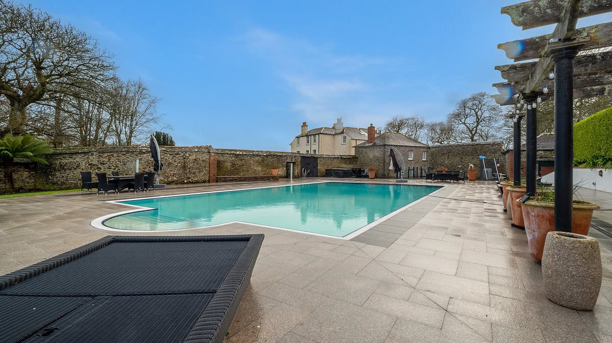 Damion Merry tweet media