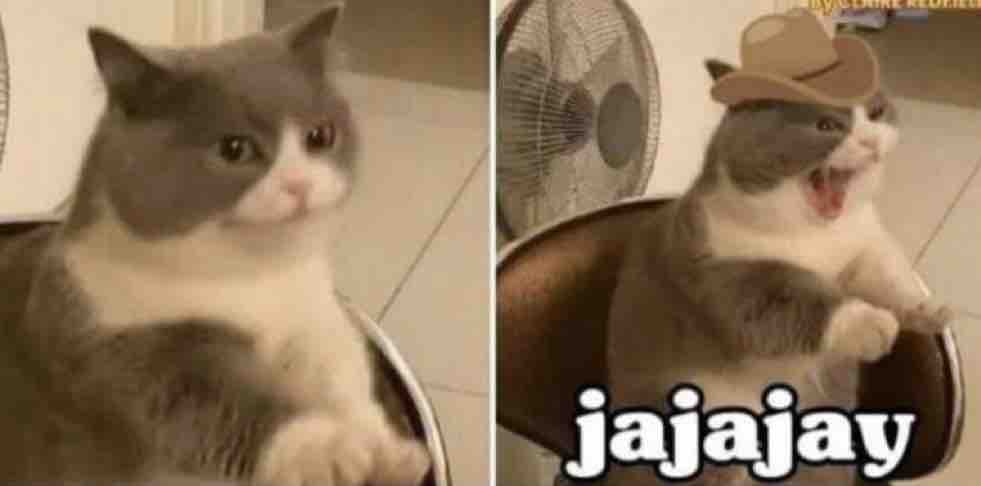 Guarromantico_'s tweet photo. Cuando estás escribiendo “jajaja” y se te escapa una “y” : https://t.co/YAAFyVXVDM