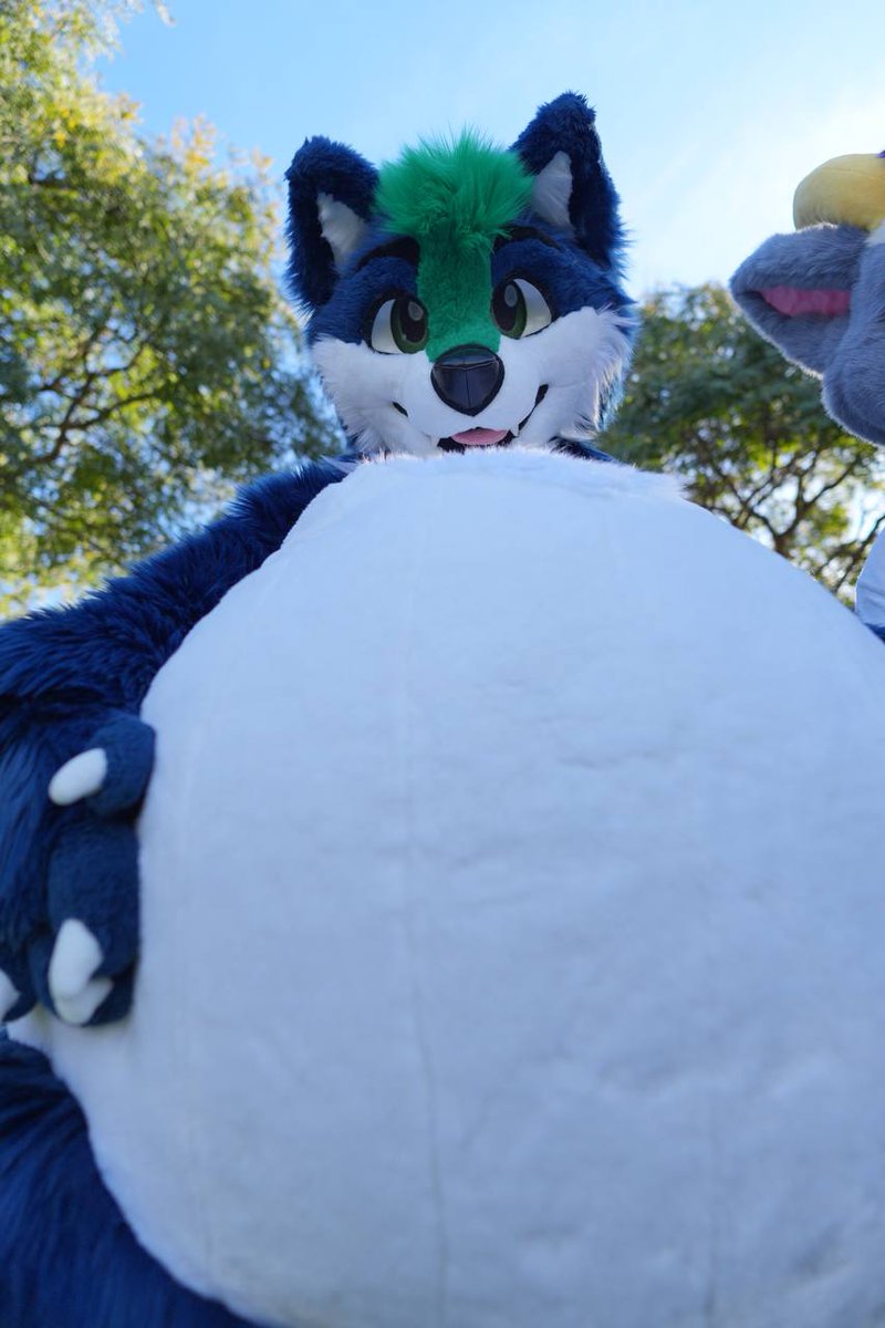 KazanIsFatzan's tweet photo. Big belly big belly big belly big belly 

#FursuitFriday 
🪡: @PawiePaws
📸: @JakuzziRedPanda https://t.co/wTIqexcEVr