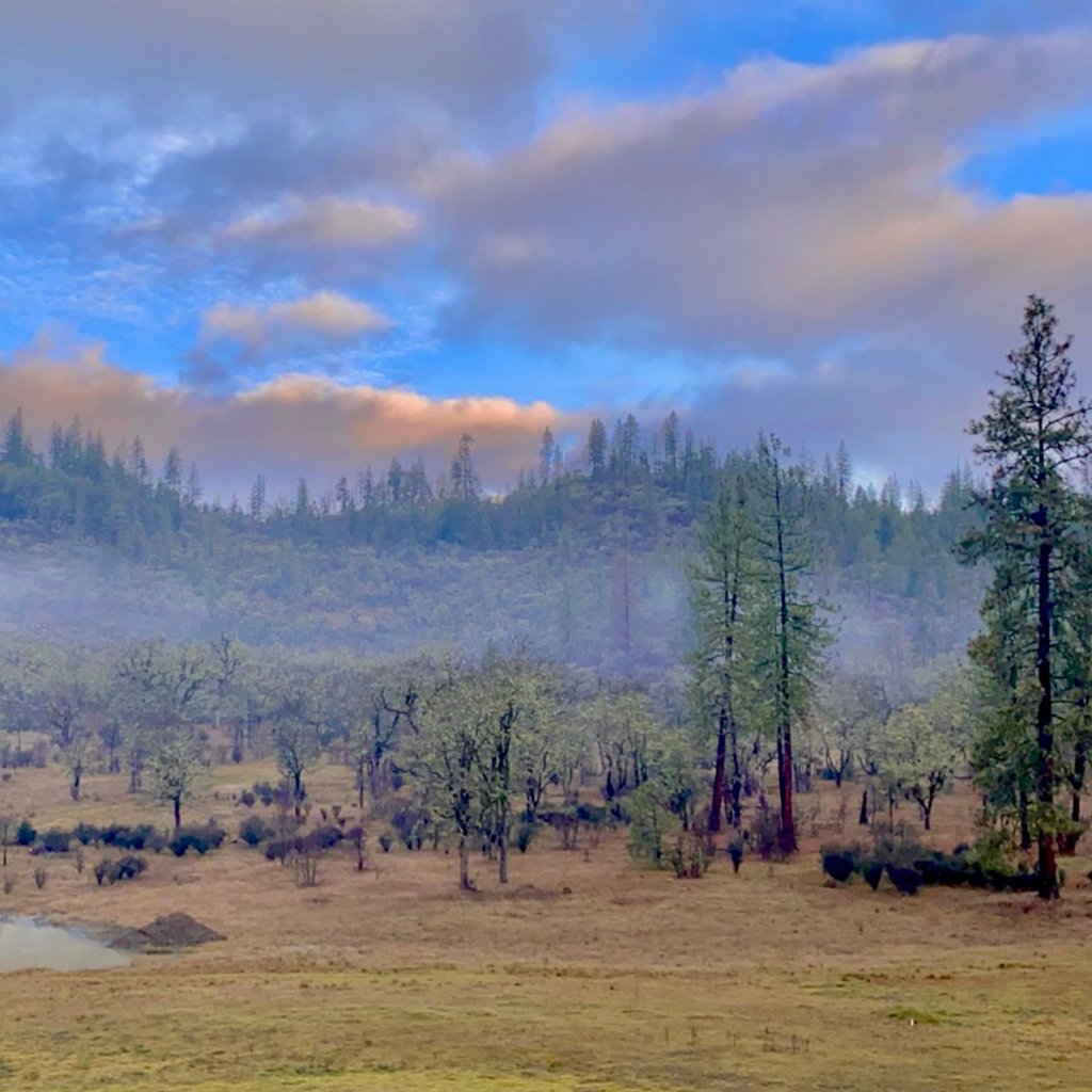 WildOasisBison's tweet photo. Nothing beats a view like this! https://t.co/wWleGYwyUf