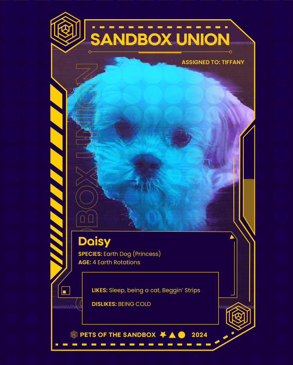 SandBoxUnion's tweet photo. Pets of the Sandbox!  Meet Daisy!
Stay tuned for more pets!
#pets #dog #scifi #SBU  #cyberpunk #spotlight https://t.co/zCUIqpEu3K
