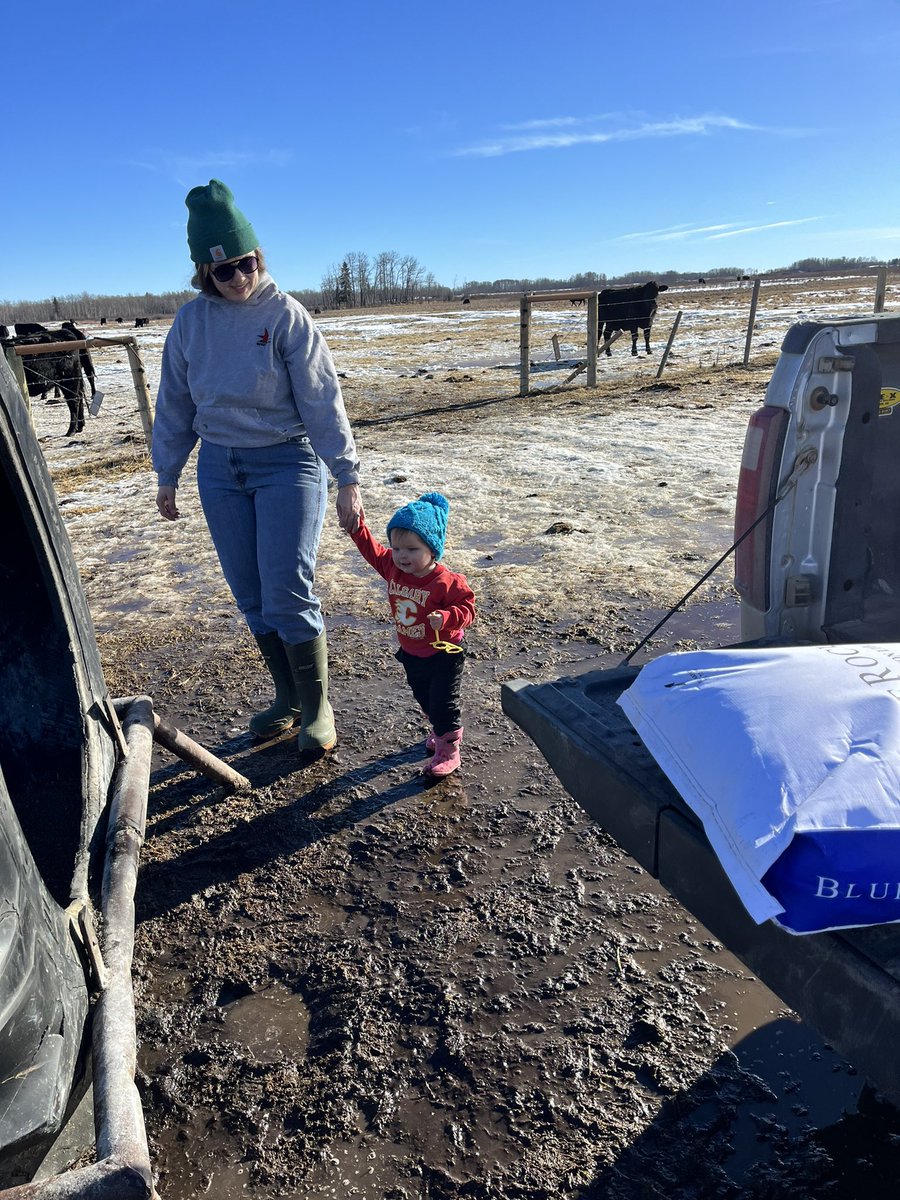 garrett_wolf3's tweet image. Had to give the cows their flintstones this morning #foolsspring #mineral