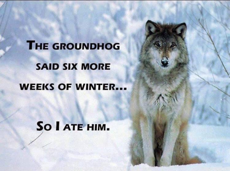 #GroundhogDay2024