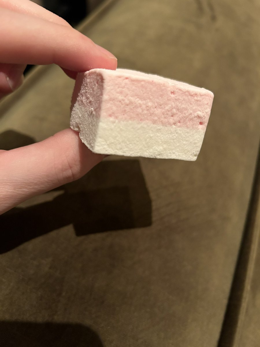 lievenvos tweet media