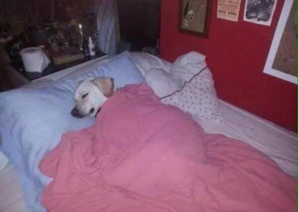 Viernes de guacherna:
