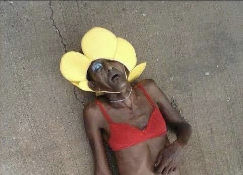 humarcianoo's tweet photo. "Eu tô na flor da idade"

 A flor: https://t.co/VgpLWH6YsI