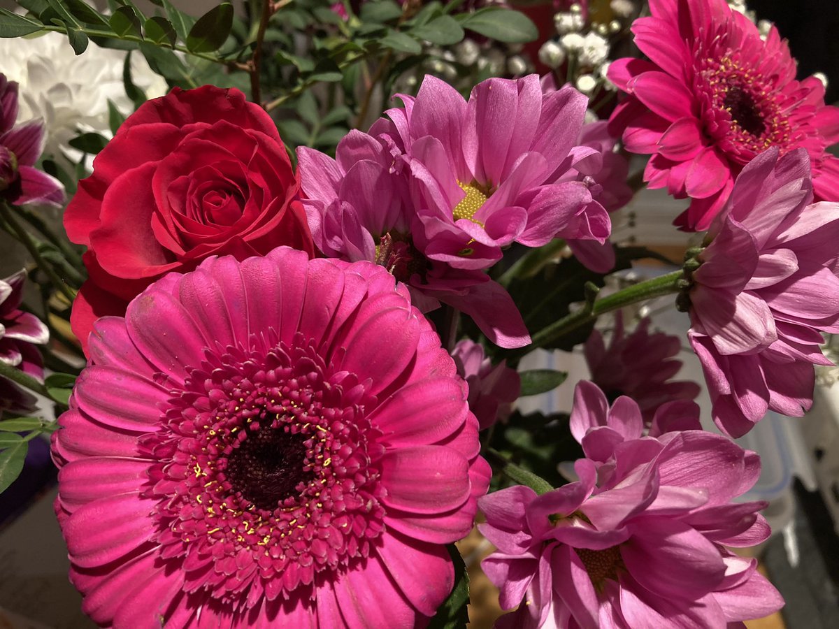 Ros French tweet media